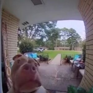 Meet your Posher, Bryan